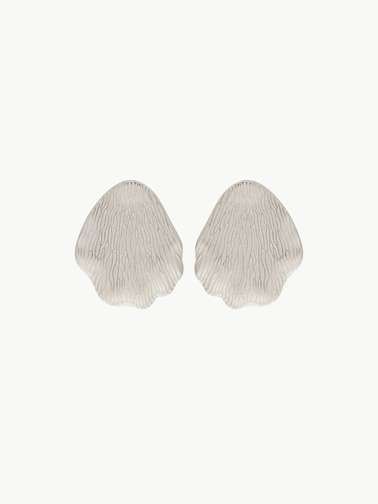 Seashell Earrings