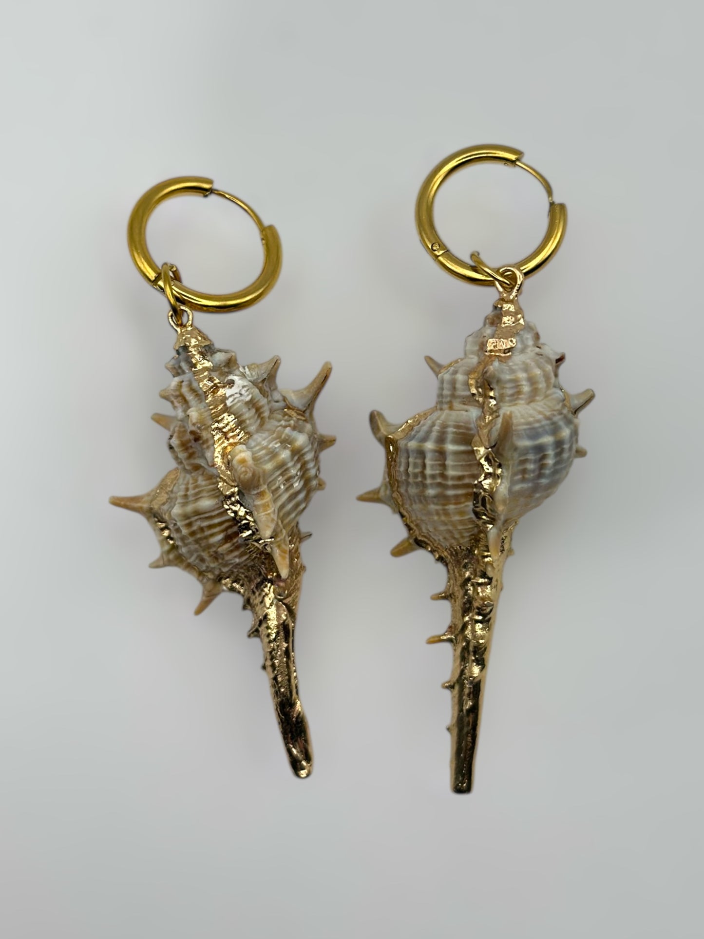 Amorgos Seashell Earrings