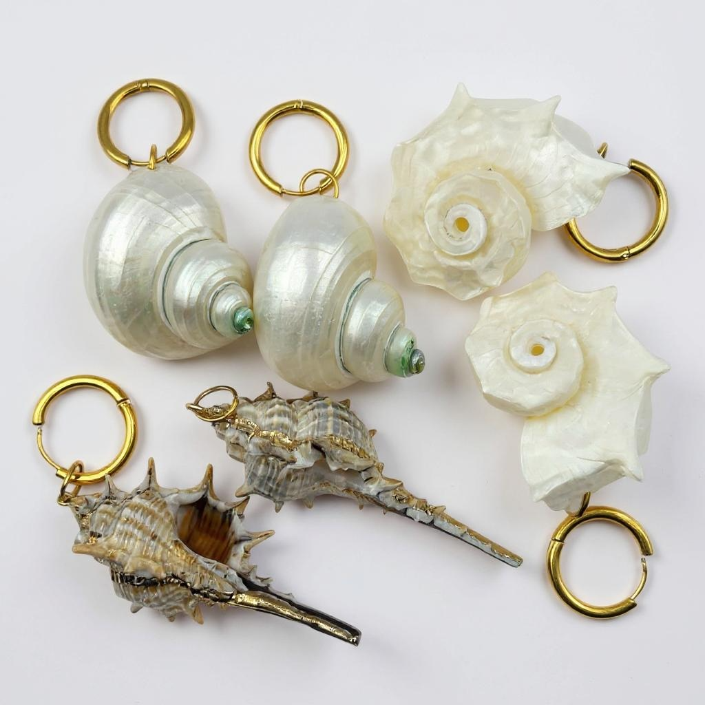 Amorgos Seashell Earrings