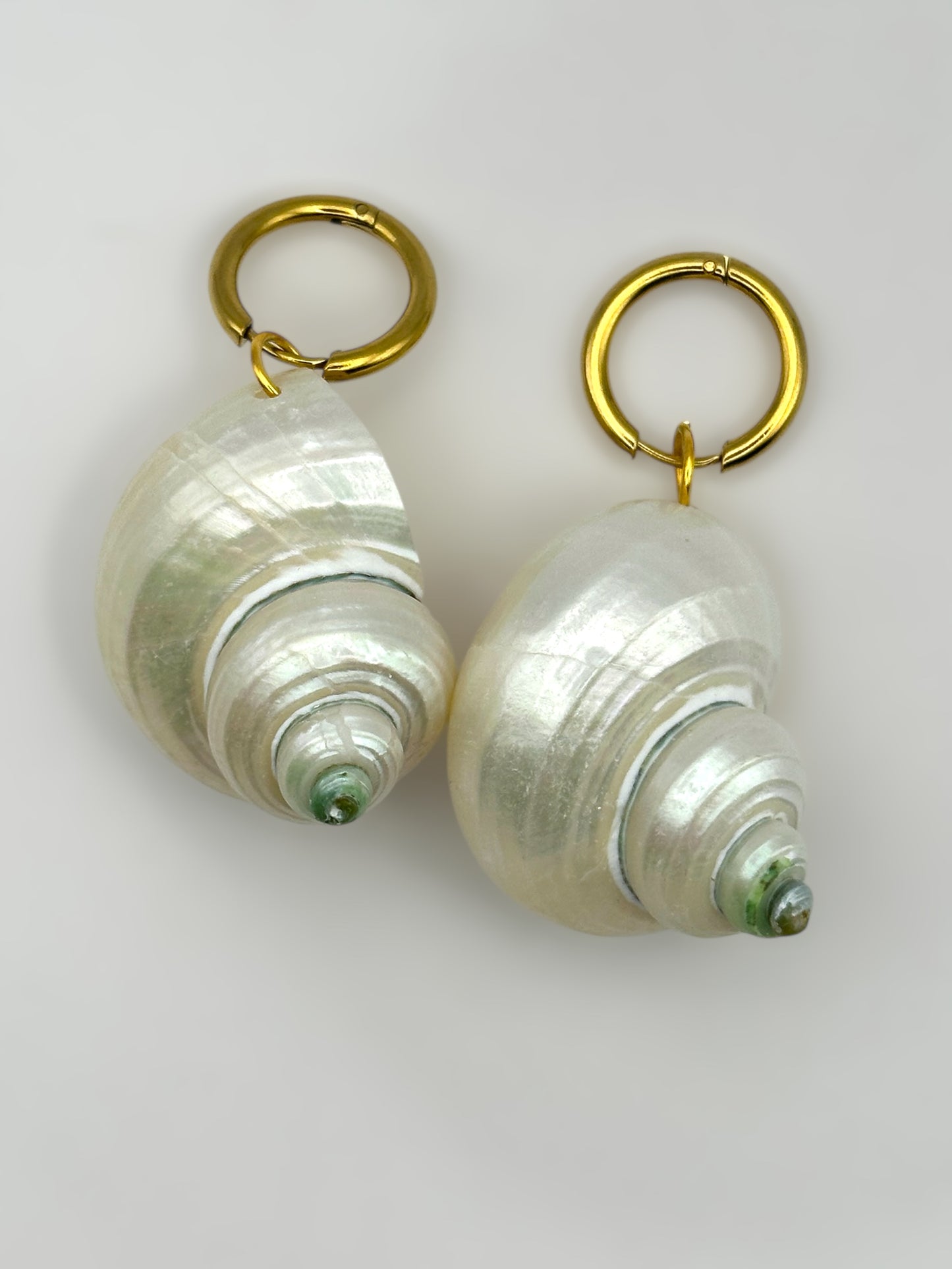 Amorgos Seashell Earrings
