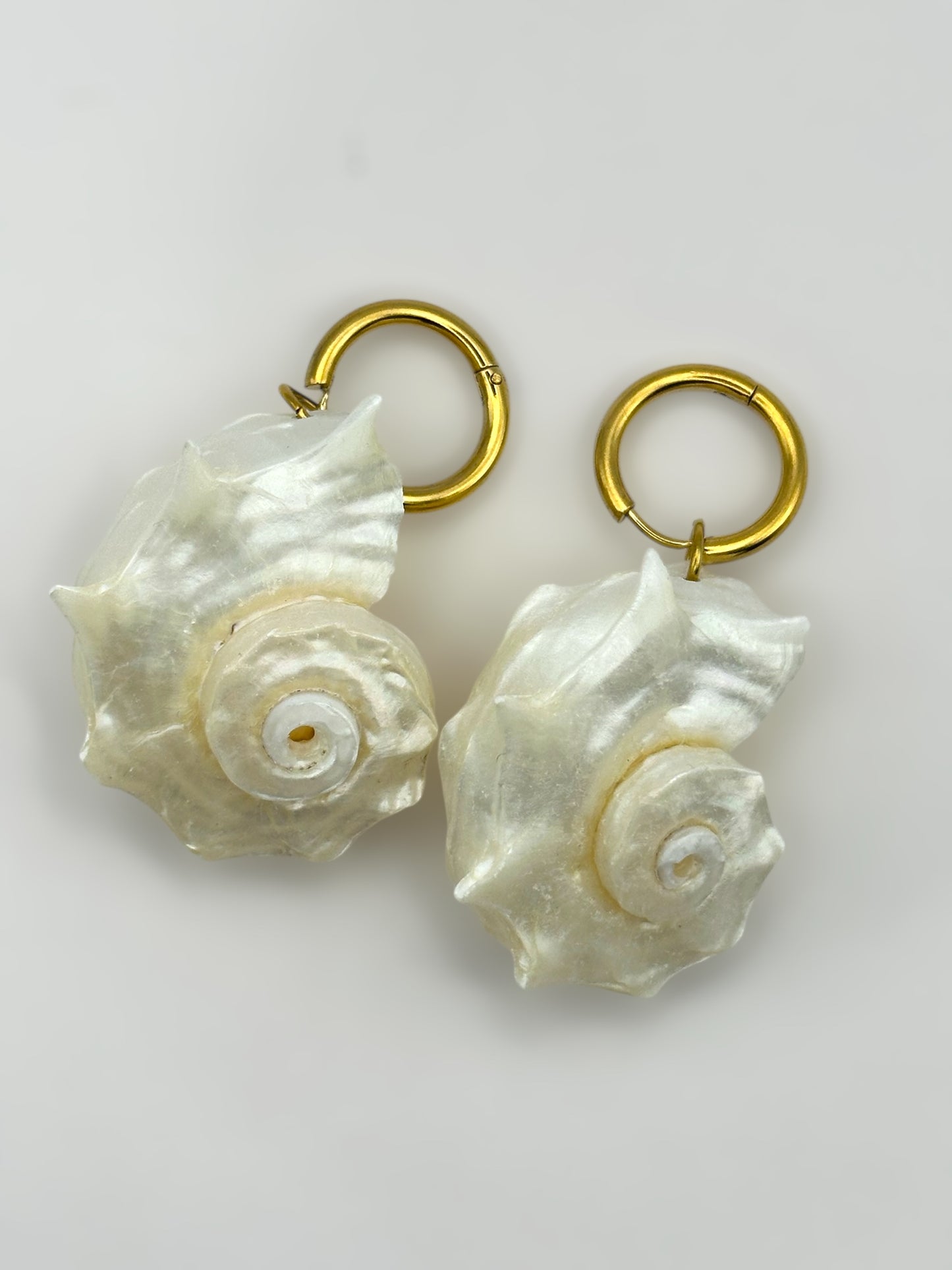 Amorgos Seashell Earrings