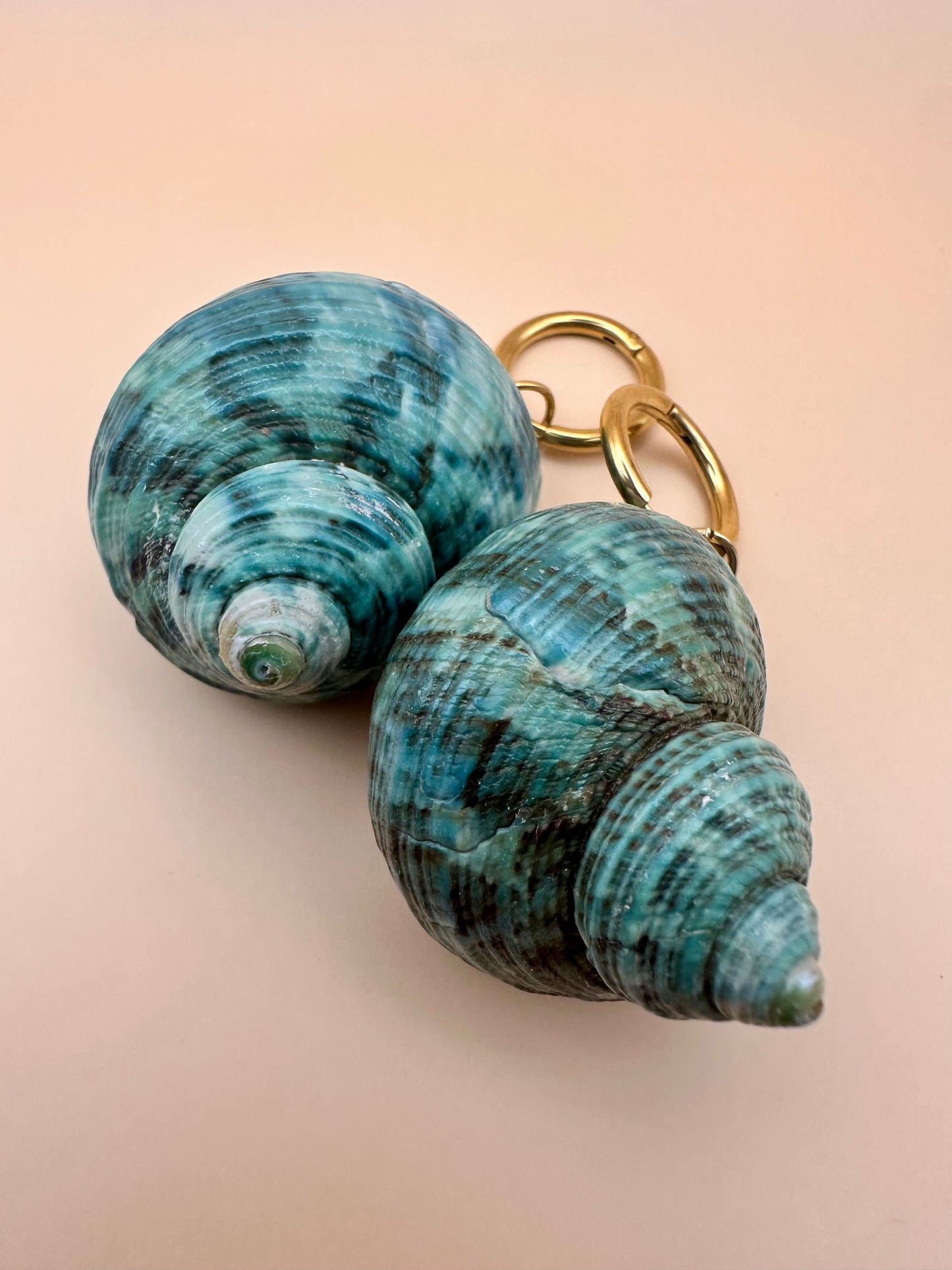 Amorgos Seashell Earrings