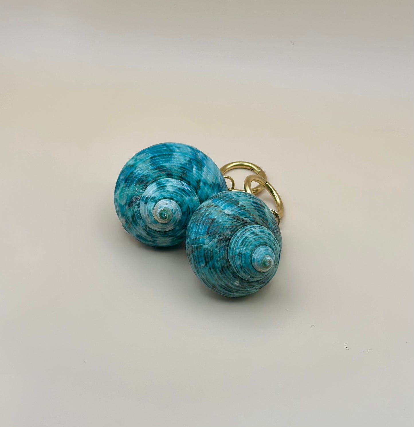 Amorgos Seashell Earrings