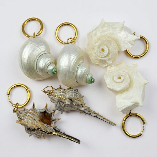 Amorgos Seashell Earrings